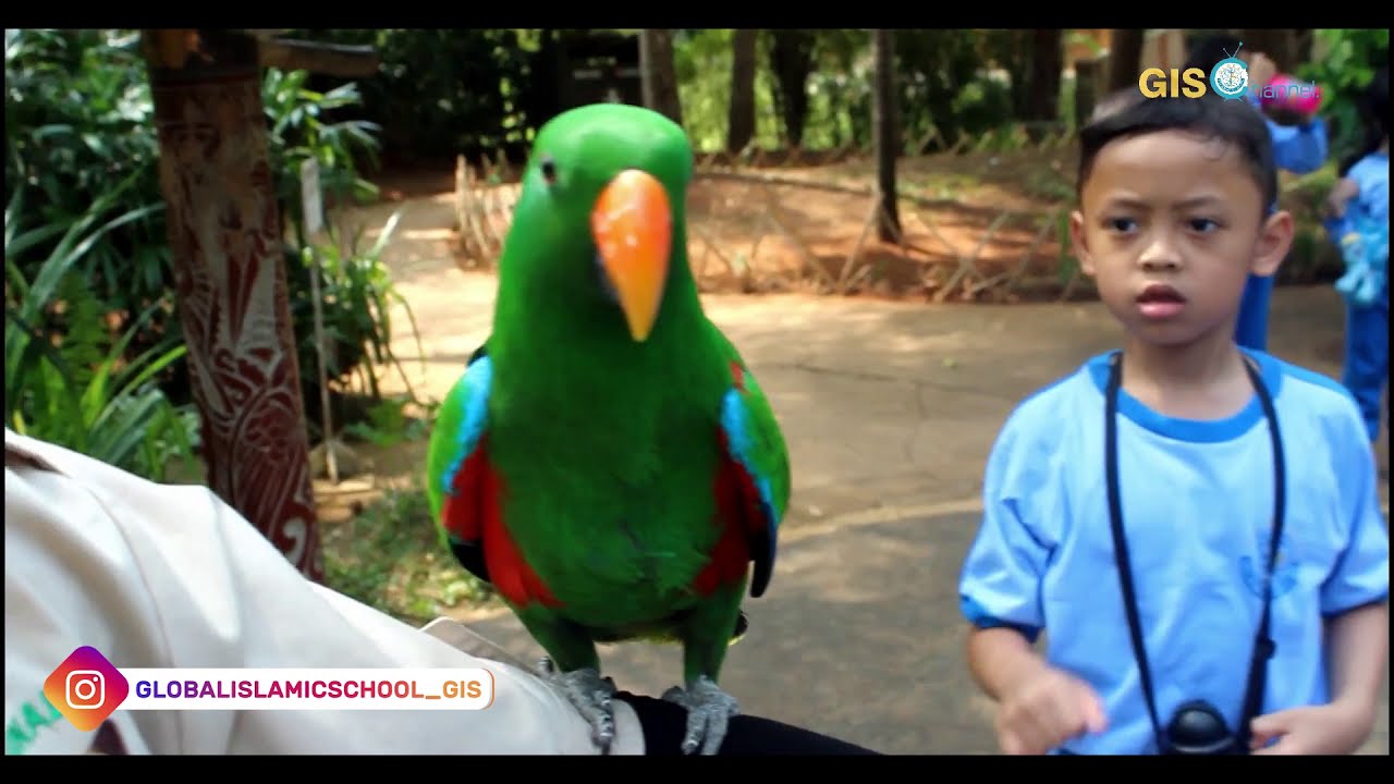 Field Trip Fauna Land Grade 2 - Primary GIS