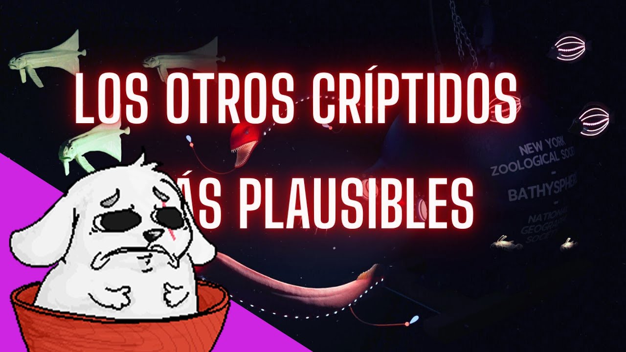 Huntleo reacciona a 