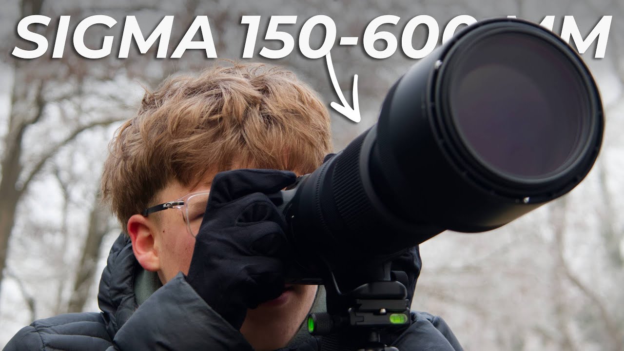 TEST du téléobjectif Sigma 150-600 f/5-6.3