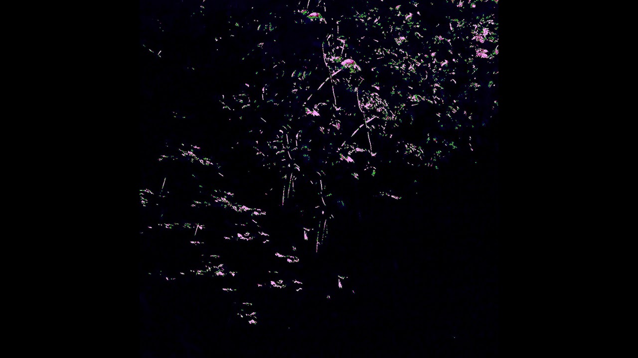 Swamp Creatures - Sequence (Full Album)