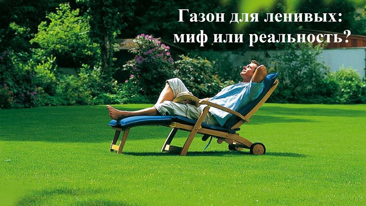 Газон для ленивых. Миф или реальность