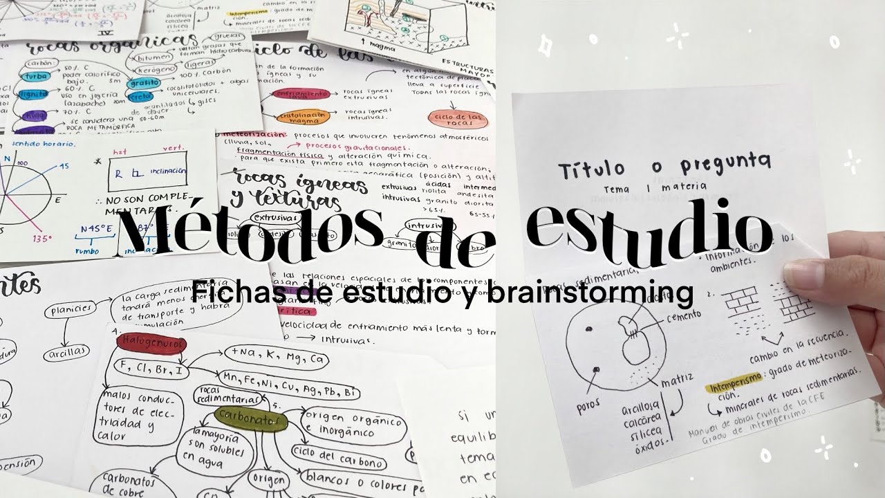 🏷 Fichas de estudio y brainstorming: métodos de estudio que debes conocer 📑📓📂