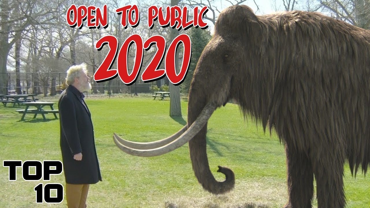Top 10 Extinct Animals Being Brought Back To Life