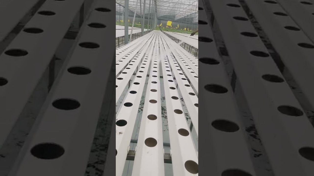 Cleaning NFT PVC pipe for lettuce growing