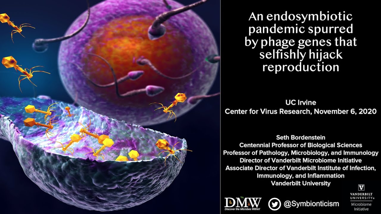 Seth Bordenstein: The Genetics of Cytoplasmic Incompatibility and Make Killing