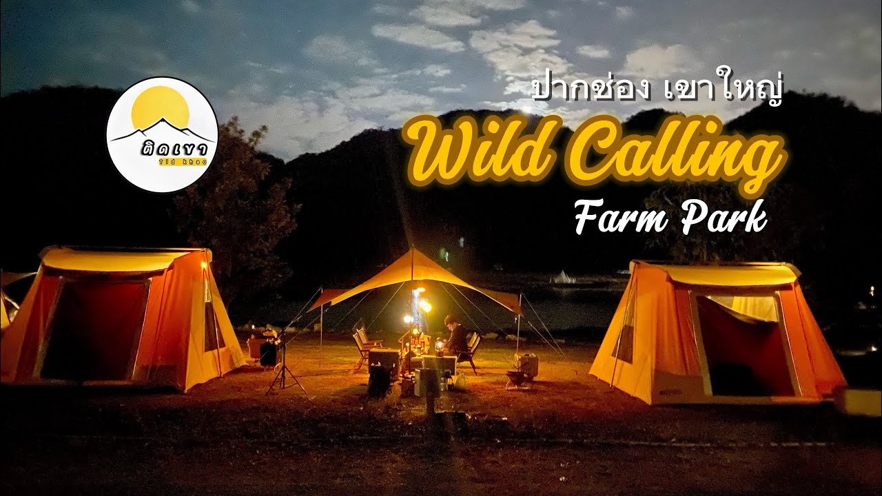 wild calling farm park ลานกางเต็นท์ (ไวลด์ คอลลิ่ง ฟาร์ม ปาร์ค)เขาใหญ่