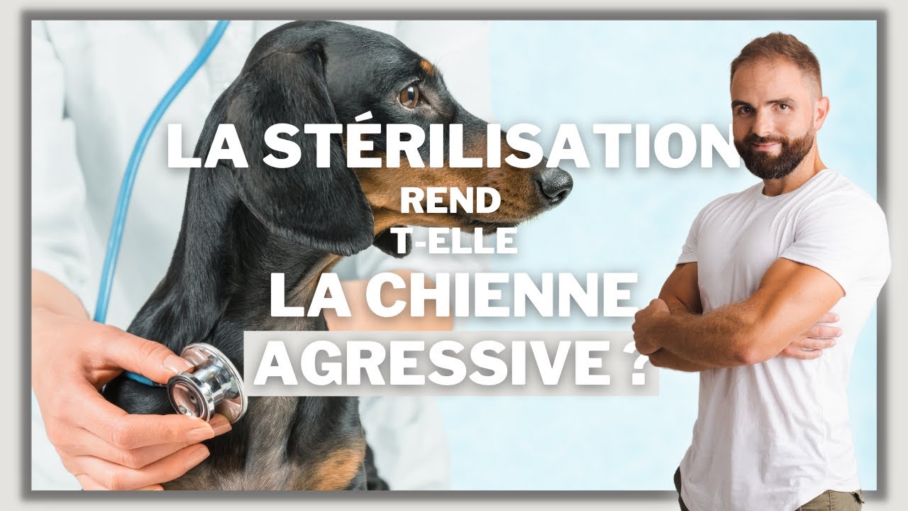 La stérilisation rend-elle agressive ?