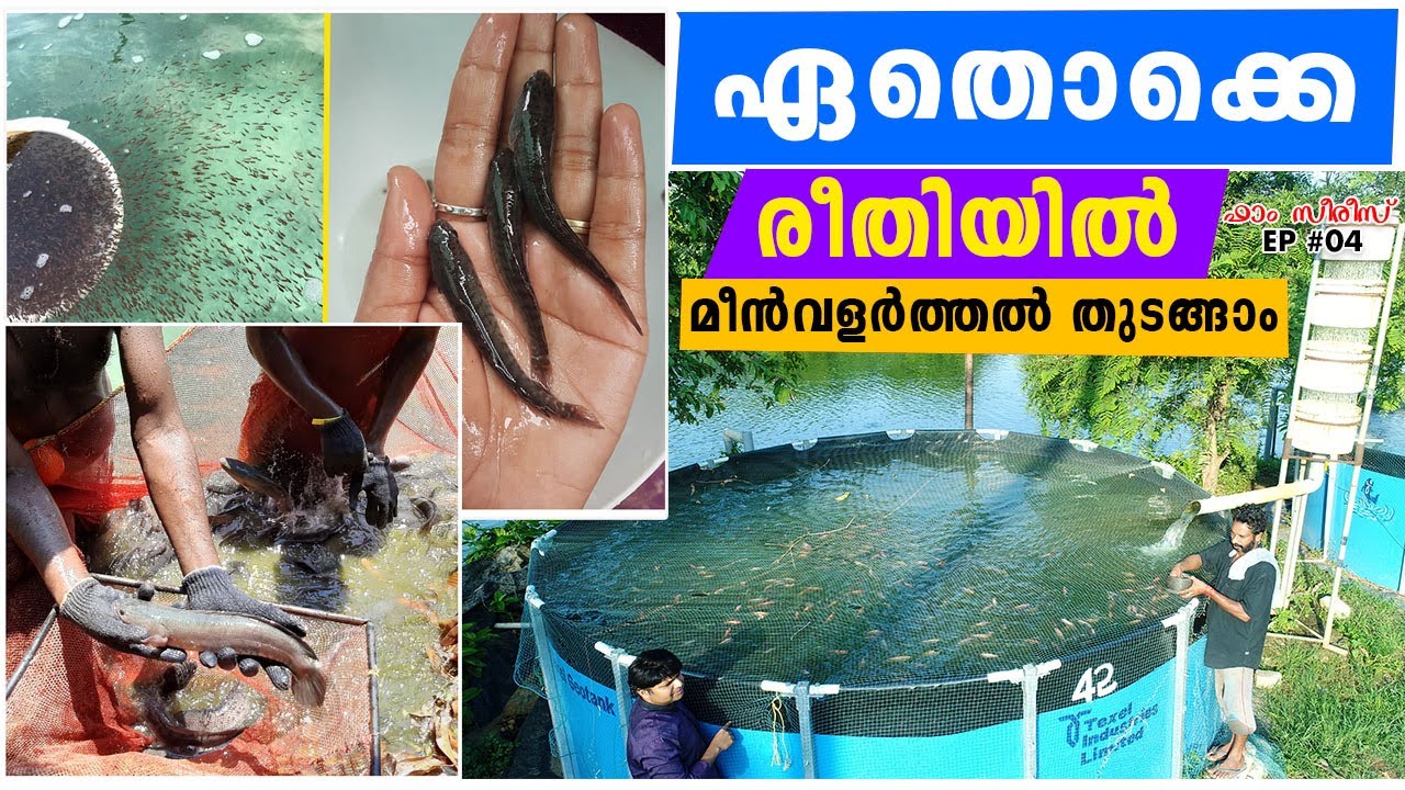 പലതരത്തിൽ  മീൻവളർത്താം I Fish Farming I Pond Based I Padutha Kulam I Biofloc I RAS I Flow Through 🐟