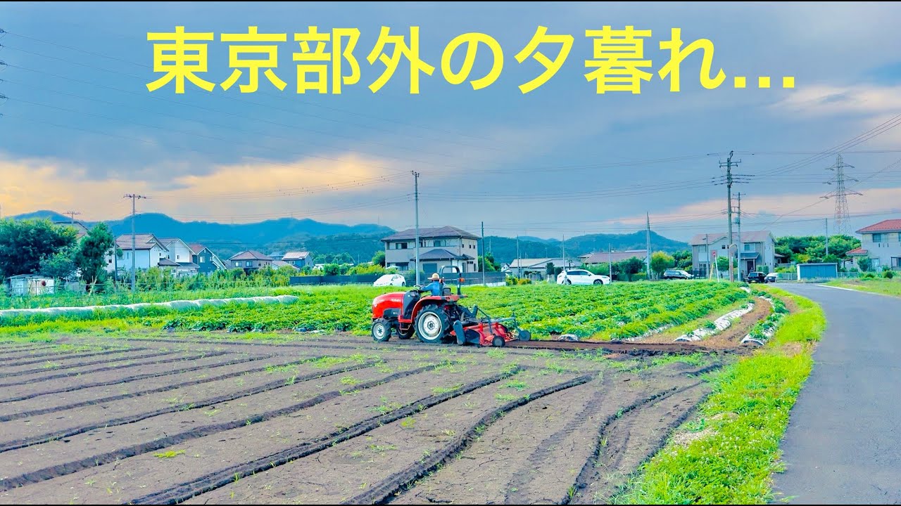 Suburban Tokyo, Japan -  Relaxing Weekend Walk | 東京部外の夕暮れ - 静かな部外 | 東京🗼
