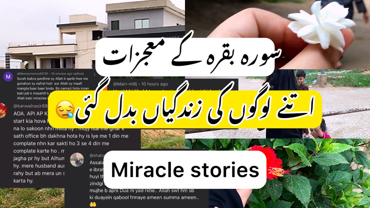 Surah baqarah miracle stories || surah baqarah fazilat