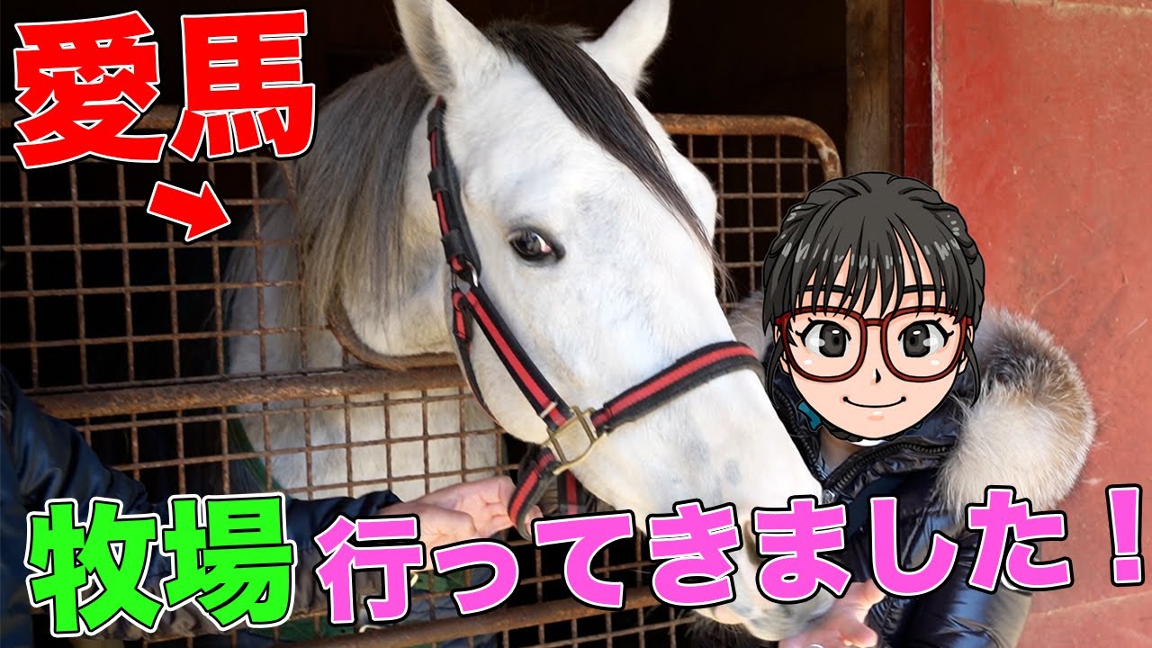 ゴールドシップの息子に会いに行ってきた！in牧場見学【前半】