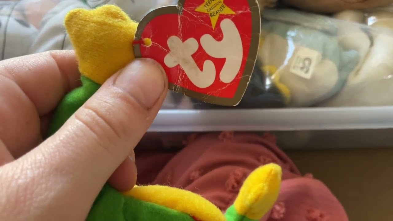 My thirty year old sis beanie baby's !