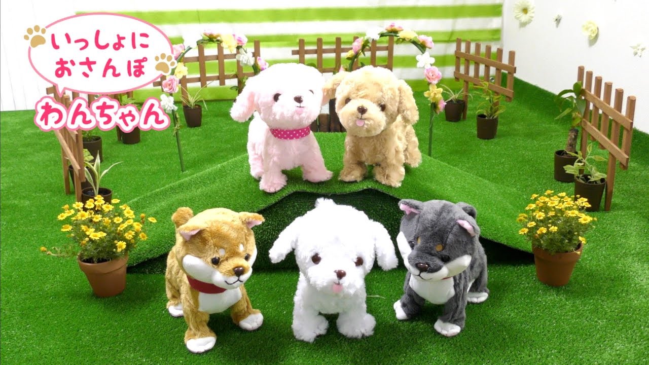 マザーガーデン 　いっしょにおさんぽわんちゃん ドッグランであそびましょ♬