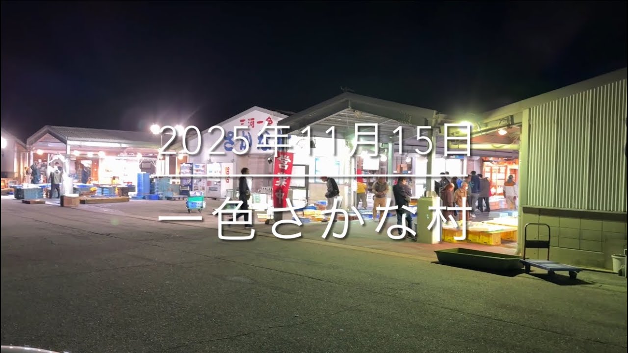 【日本最高峰の朝市】賢い魚の買い方【必見】『一色さかな村』愛知最強市場
