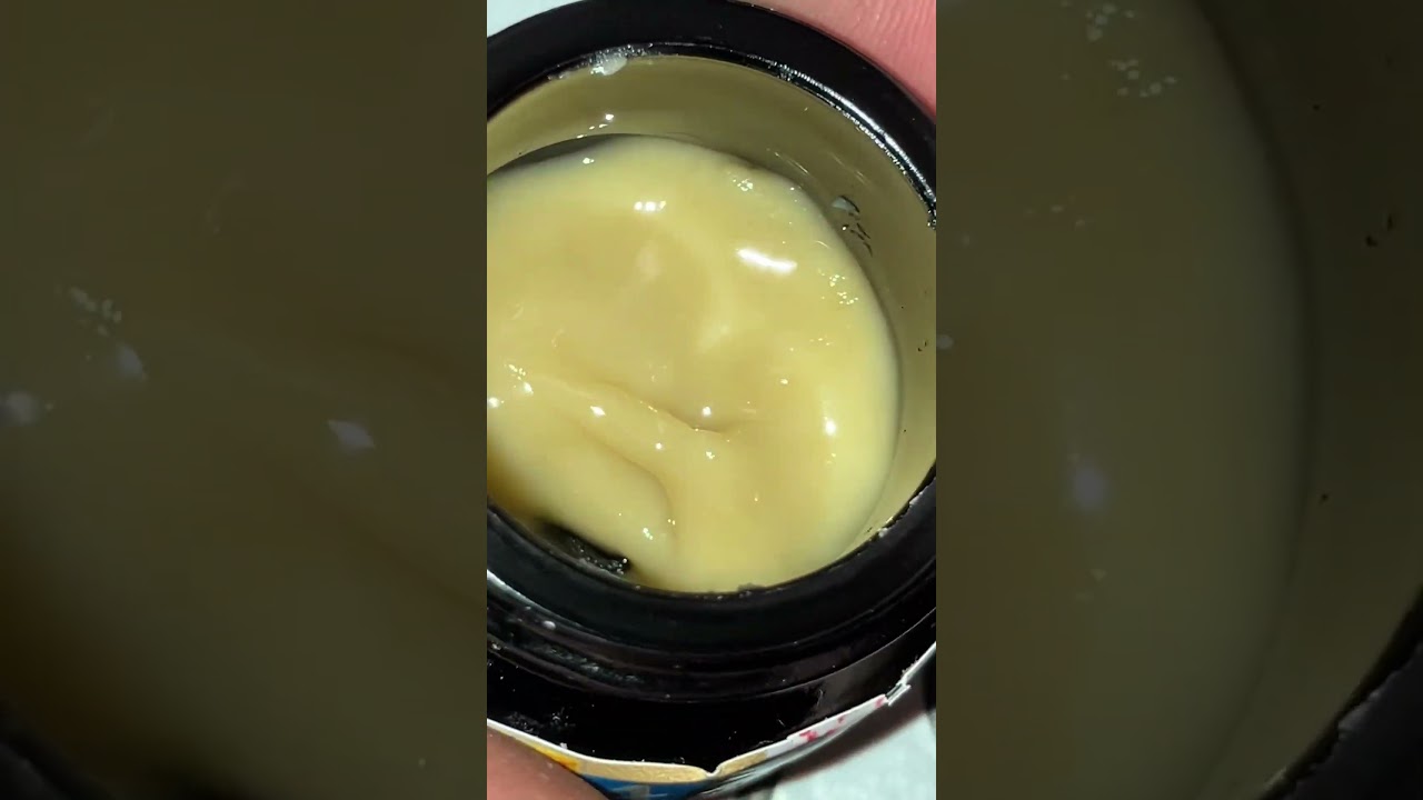 Yukio Kamakaze from farming stoned Z terps with a kick