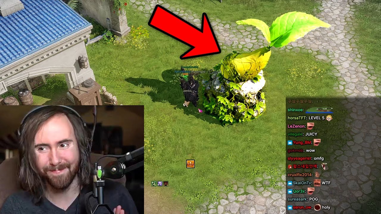 Asmongold shows the results of 300 hours of farming in Lost Ark