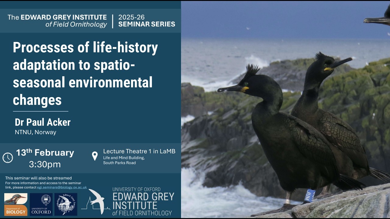 EGI Seminar   Paul Acker default