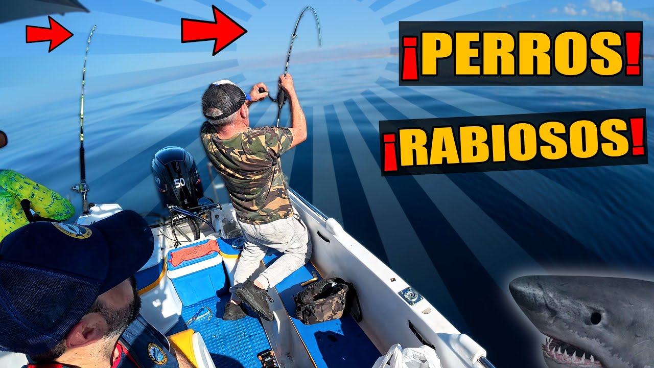 &iexcl;PICADA DOBLE Pescando al Vivo! Incre&iacute;ble Combate con FINAL INESPERADO 🤯  - Jurel Ramon 180