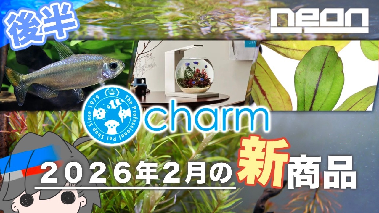【ne0nが選ぶ！charm2月後半新商品】GEX新商品キタ！２月は大豊作！淡水生体も一挙ラインナップ【 ne0n 】 #アクアリウム