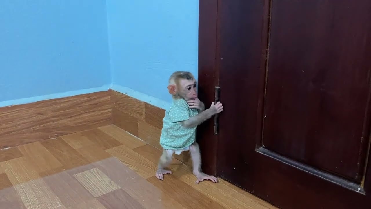 Oh No..!! Jasmine Runninq So Fun From Mom Teachinq