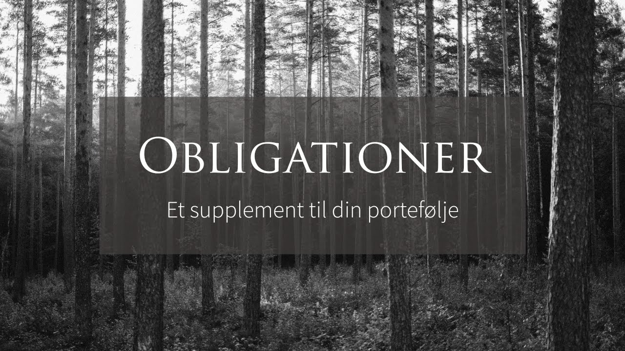 Obligationer kan &oslash;ge afkastet p&aring; din portef&oslash;lje ved fornyet uro p&aring; markederne