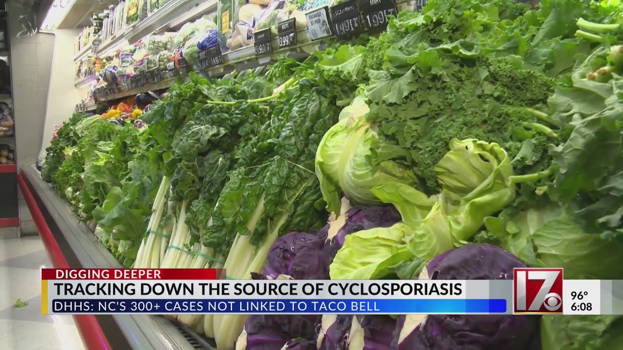 What is the source of cyclospora in NC?
