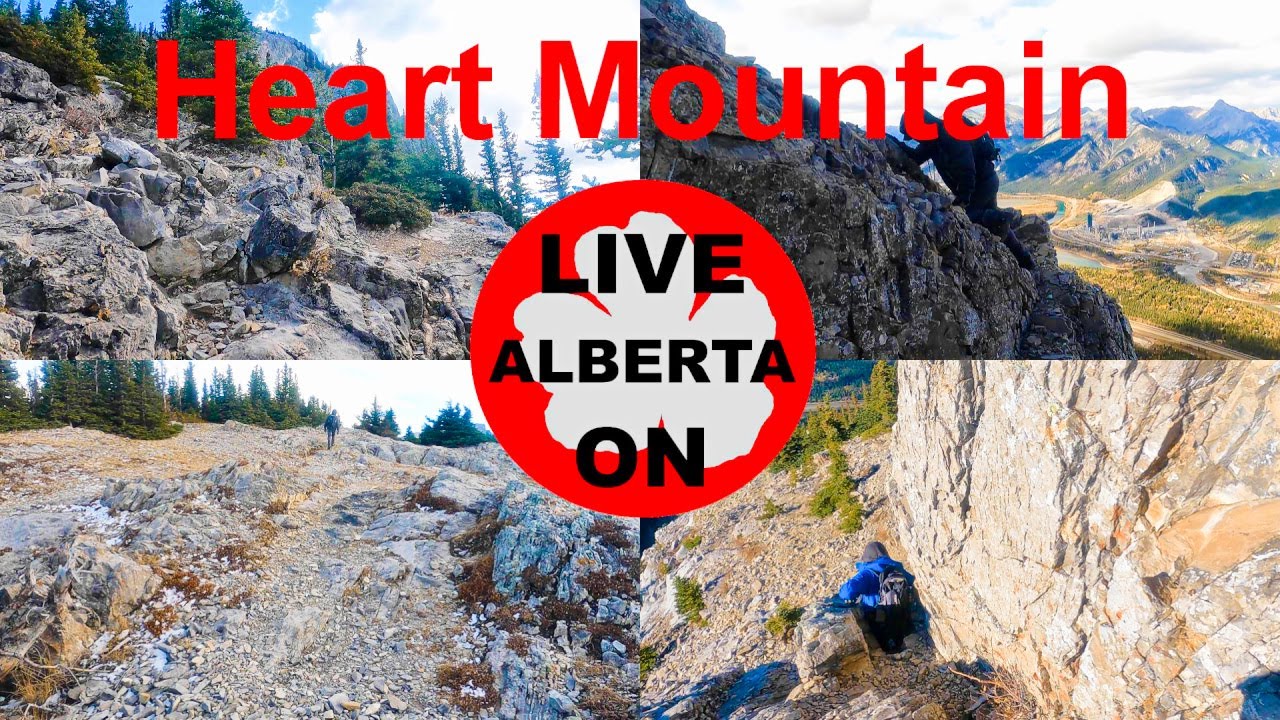 This is NOT A HIKE, Summit Scramble, Heart Mountain #canadianrockies