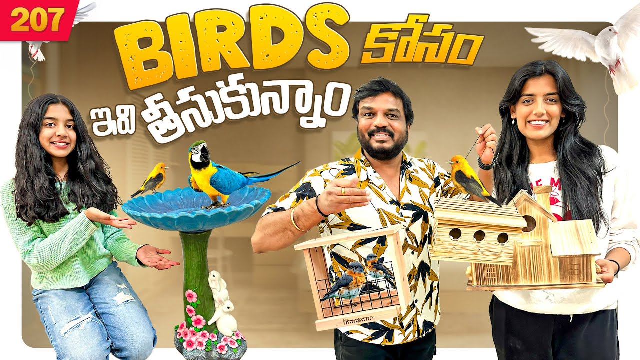 Birds కోసం ఇవి తీసుకున్నాం 🐦 | VAAS Family | Telugu vlogs
