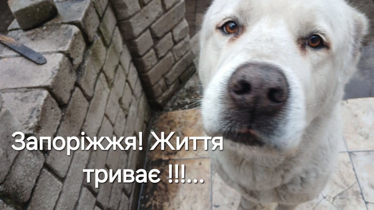 25 февраля 2026 г.
