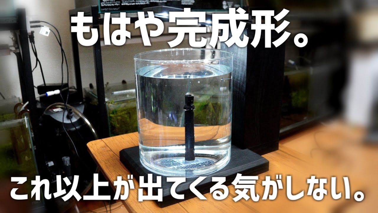 【最速レビュー】3世代目にして完成してしまった…ドストライクな高性能でスタイリッシュな水槽が誕生。グラスアクア PERCO C-Charcoal Black #643【アクアリウム】