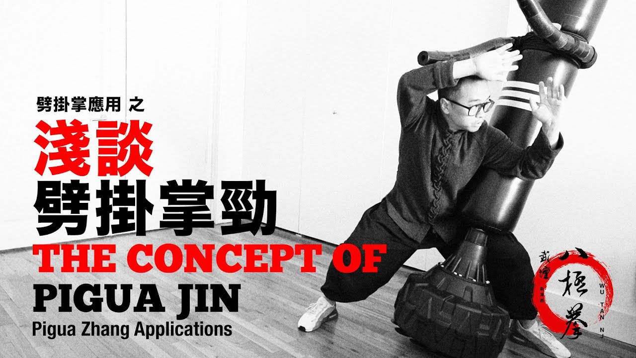 劈掛掌應用之 淺談『劈掛掌勁』Pigua Zhang Applications 