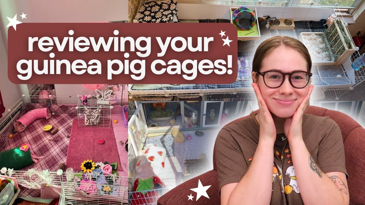 Reacting To My SUBSCRIBERS Guinea Pig Cages!