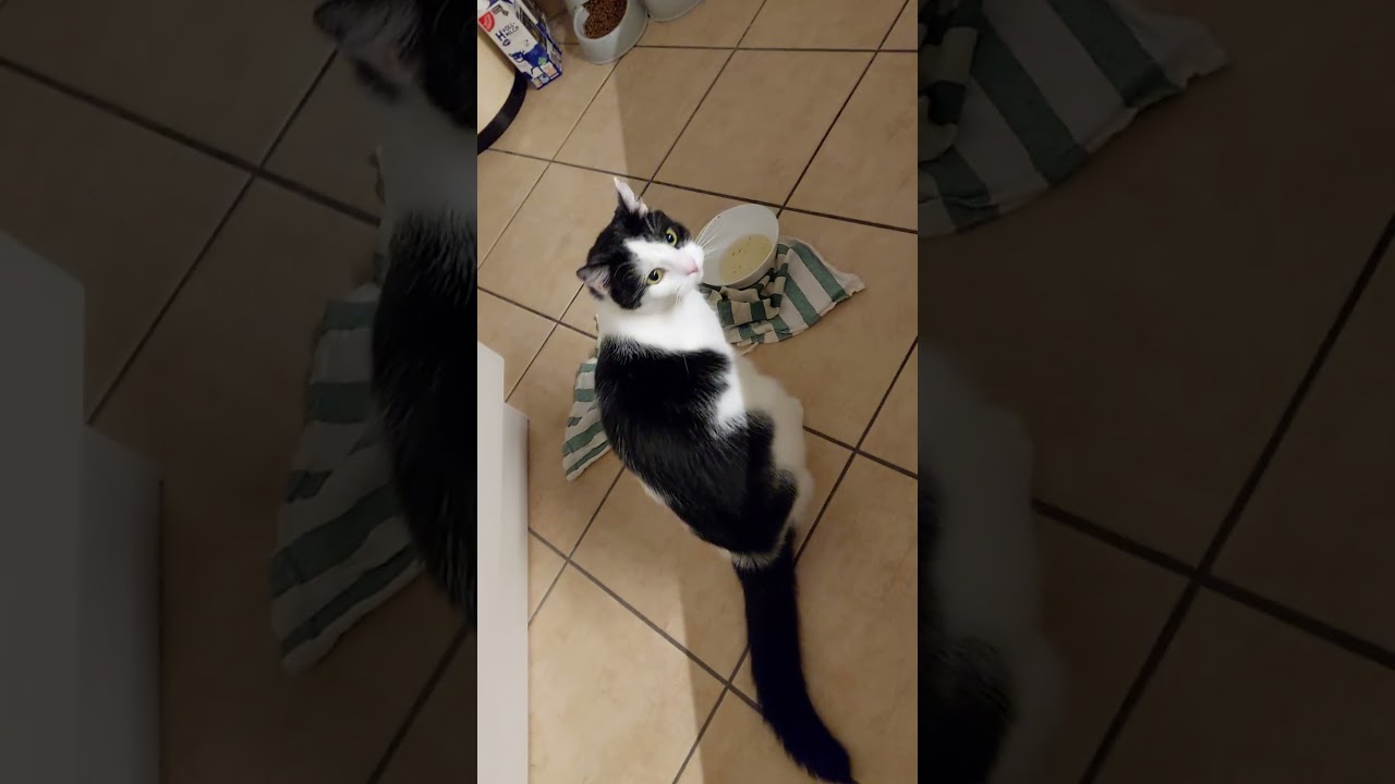 Streit um die bewustseinsver&auml;ndernden Konsumg&uuml;ter