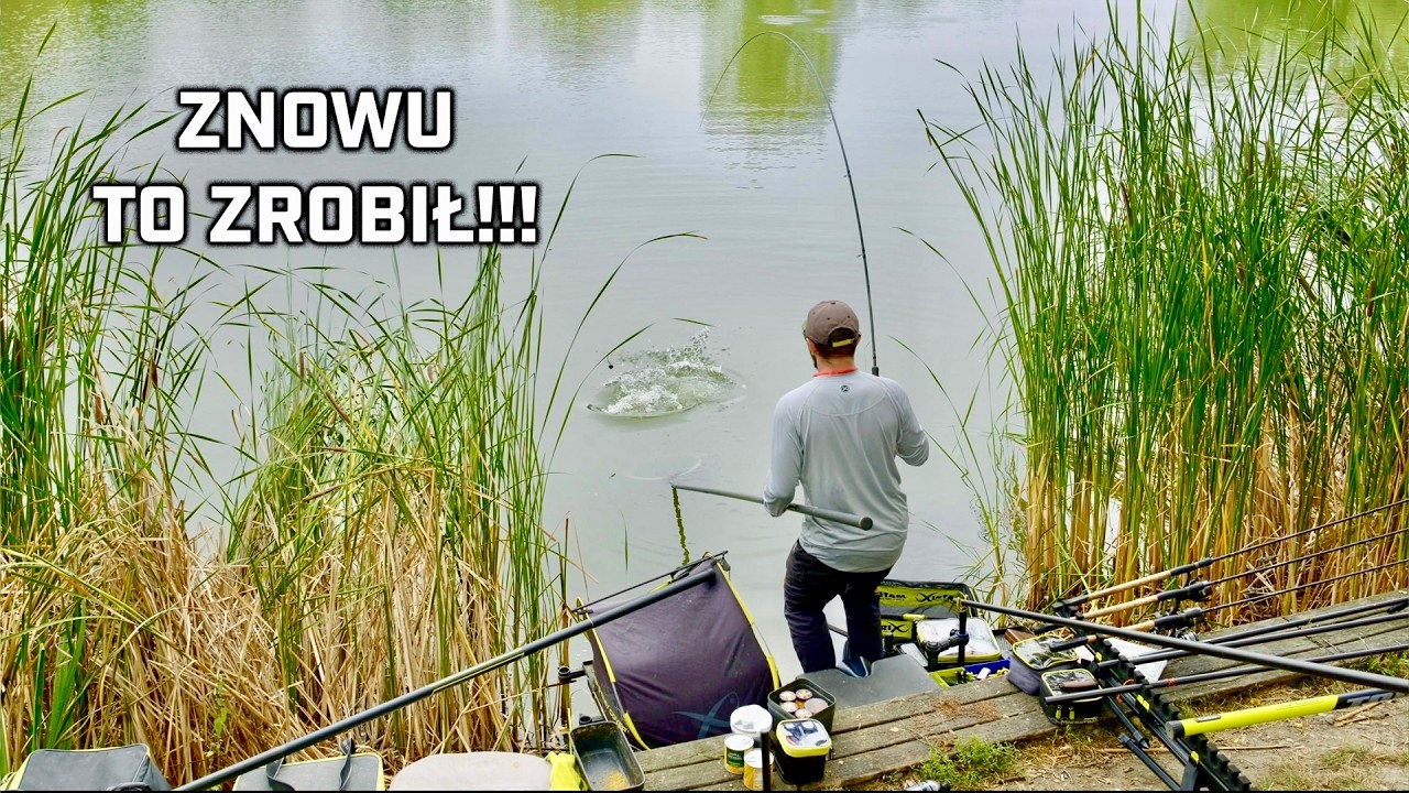 JAK WYGRAĆ WIELKIMI RYBAMI - MATRIX FREESTYLE | Marcin Kostera, Łukasz Skirski