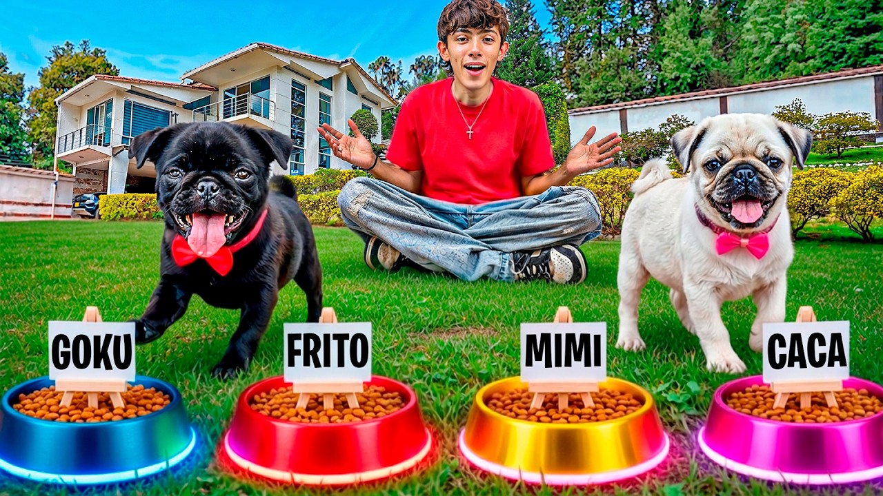 &iexcl;MIS NUEVOS CACHORRITOS ELIGEN SUS NOMBRES!