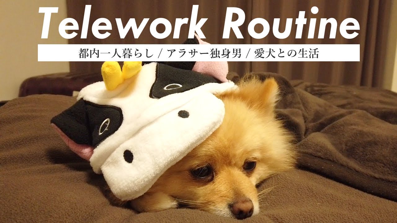 【テレワークルーティン】都内一人暮らしで犬を飼うアラサー独身男の在宅勤務 / 愛犬との生活