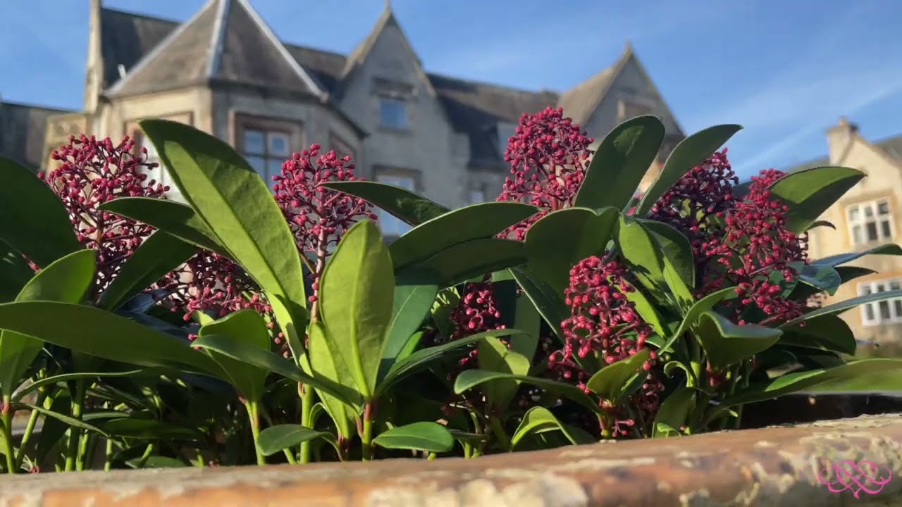 Sheffield Wedding Event Kenwood Hall Sheffield Wedding Event