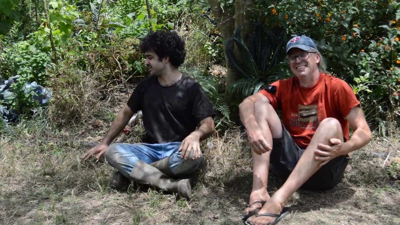ABONO orgánico con ALGAS MARINAS. Uso y beneficios. FERTILIZANTE muy eficaz y muy fácil. parte 1.