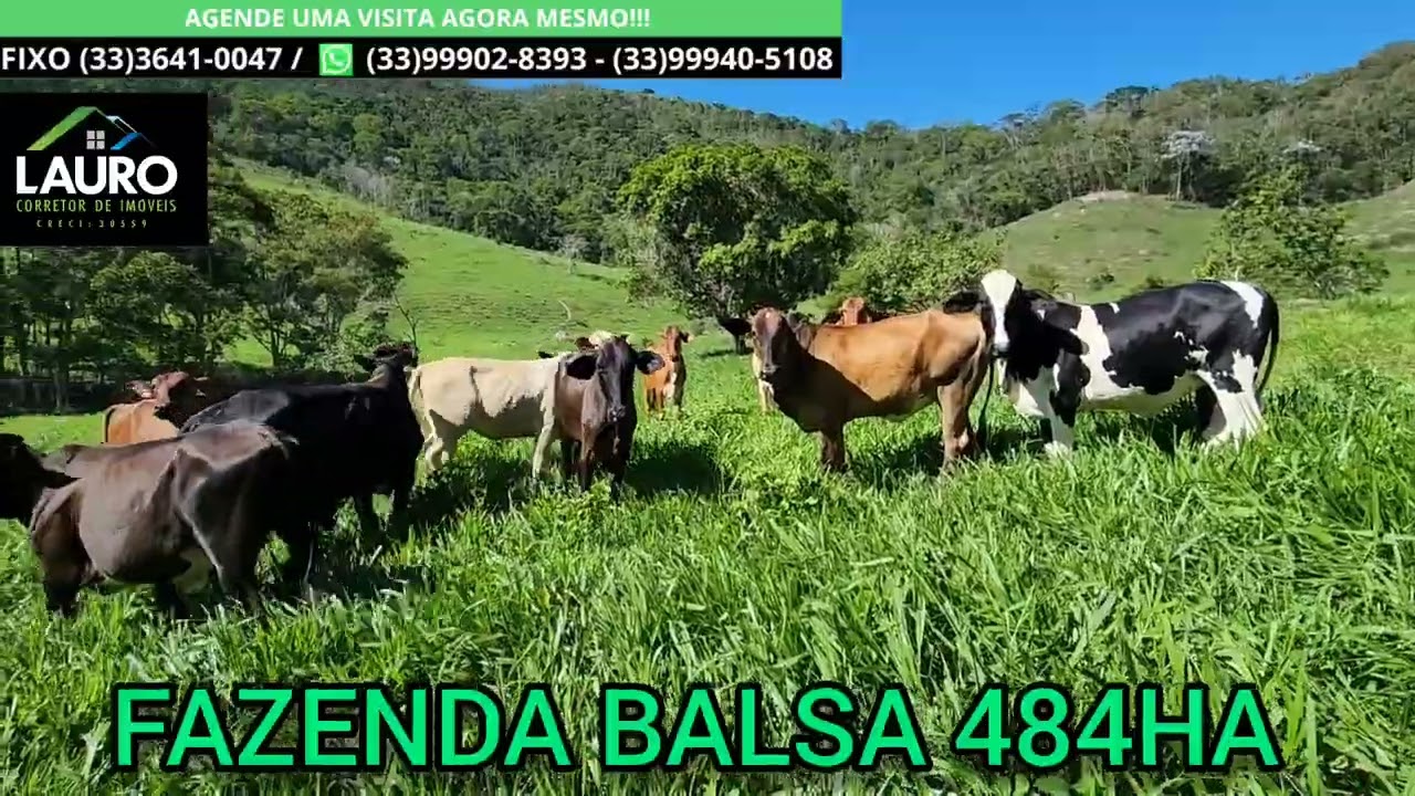 FAZENDA BALSA 484HA TEÓFILO OTONI MG VÍDEO SOLO E DRONE