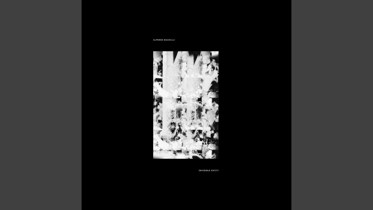 Invisible Entity (Zadig Remix)