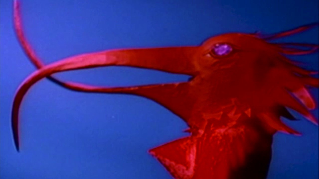 Depeche Mode - Walking In My Shoes (live) - 1994 Exotic Tour Projection (Corrected) - HD