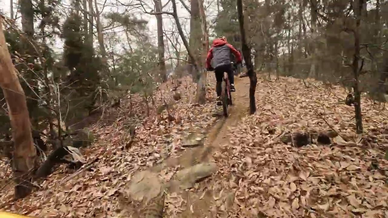 2026.2.22 (일) 왕방산 기차놀이 #모네님