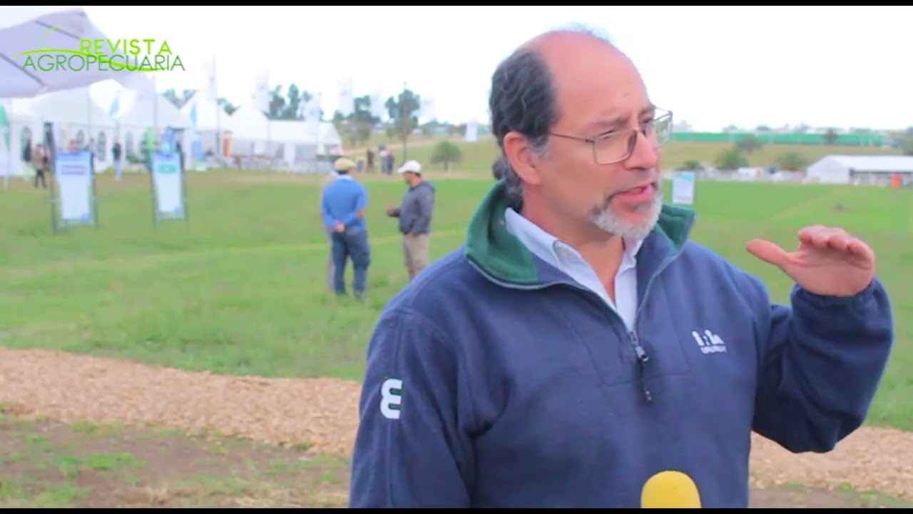 PASPALUM NOTATUM - EXPO MELILLA 2022