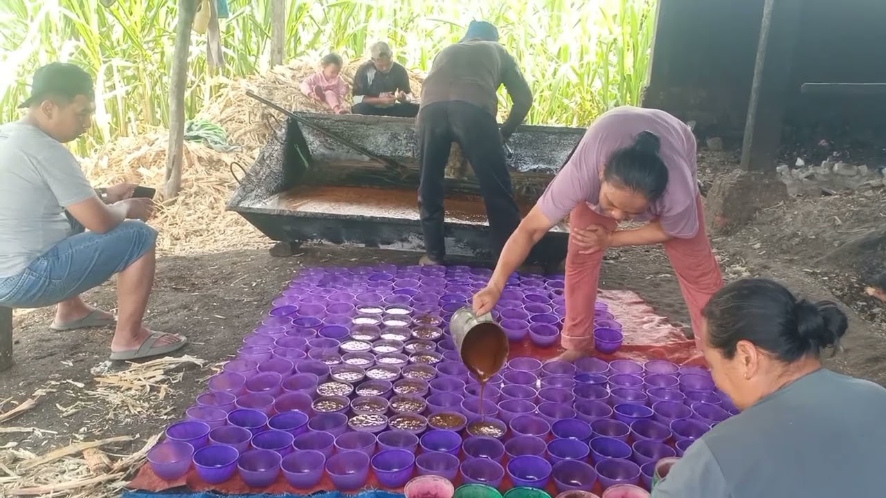 JELANG RAMADAN PERMINTAAN GULA MERAH MENGIKAT DI KERINCI 