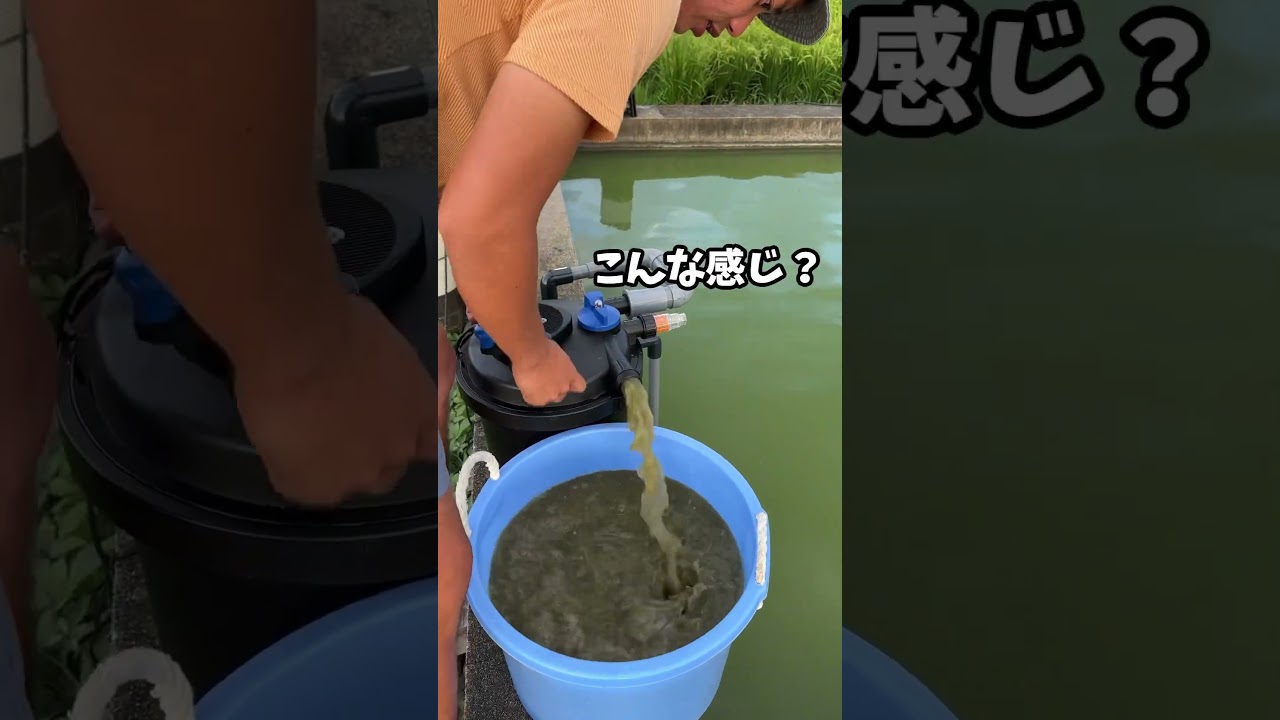 年内秋頃に販売予定の手動濾過器「こいこいアクア」手を汚さずに掃除できる、超優れものです😳