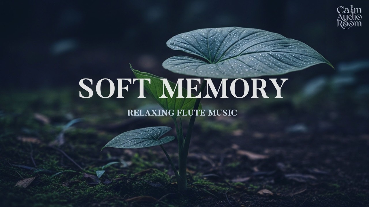 Comforting Flute Music to Calm Your Heart Tonight 🌌 Deep Sleep & Soft Relaxation 😴💤