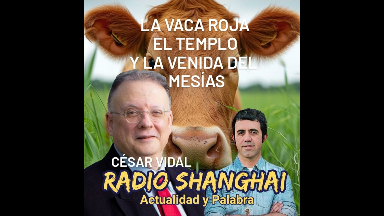 César Vidal La Vaca Roja, el Templo y la Venida del Mesías💢Radio Shanghai #367