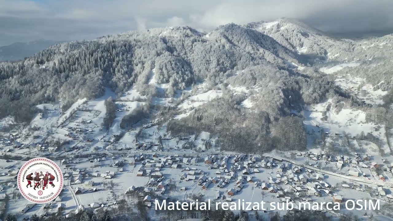 Repedea în plină iarnă 