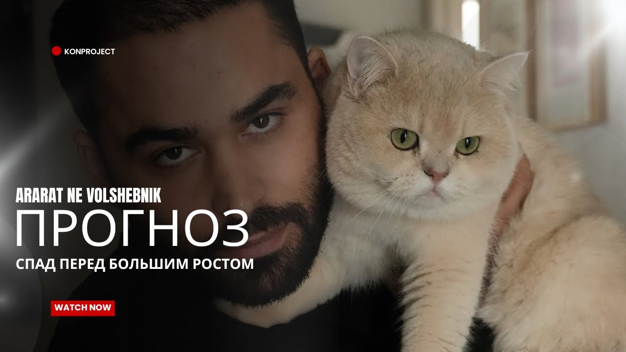 Прогноз: два этапа спада перед ростом бизнеса или новой работы 