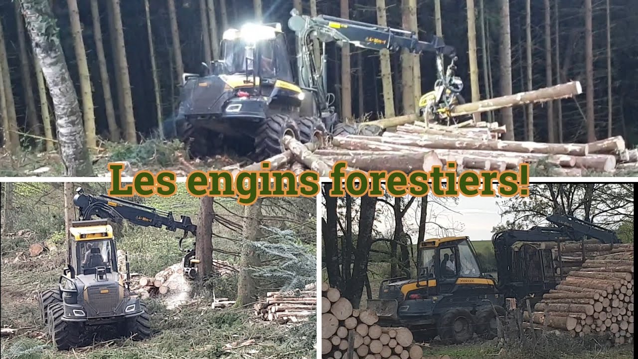 Travail forestier (abattage d'arbres) Porteur Ponsse, Abatteuse Ponsse